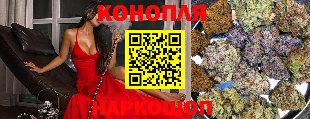 Шишки марихуана гибрид  Каннабис Bruce Banner  Вход с VPN  МАРИХУАНА планчик  Марихуана MAZAR  Зерноград 
